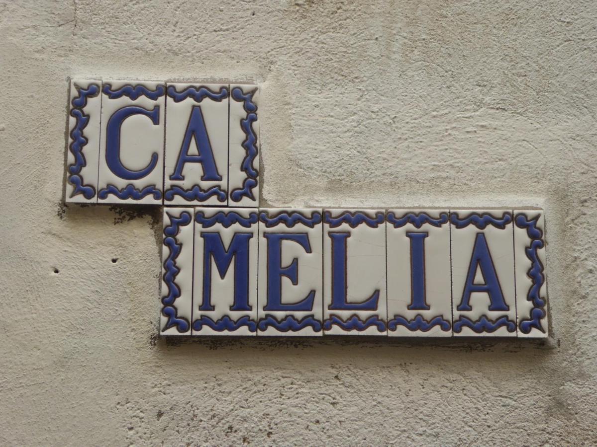 Ca Melia Bedigliora Apartment Екстериор снимка